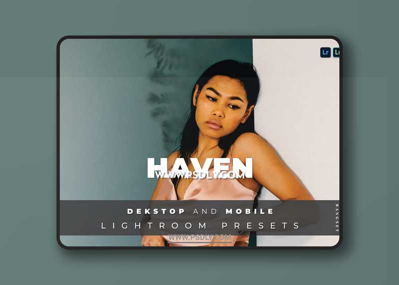 Haven Desktop and Mobile Lightroom Preset 1 Haven Desktop and Mobile Lightroom Preset
