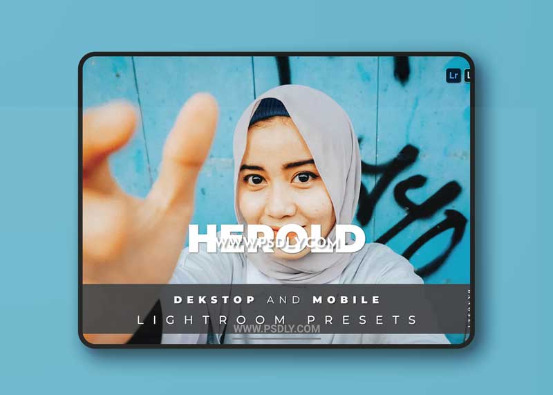 Herold Desktop and Mobile Lightroom Preset 1 Herold Desktop and Mobile Lightroom Preset
