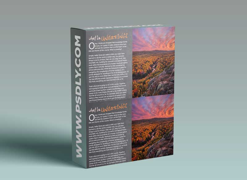 IAN PLANT - Unseeing videos bundle + Ebook 1 IAN PLANT - Unseeing videos bundle + EbookIAN PLANT - Unseeing videos bundle + Ebook