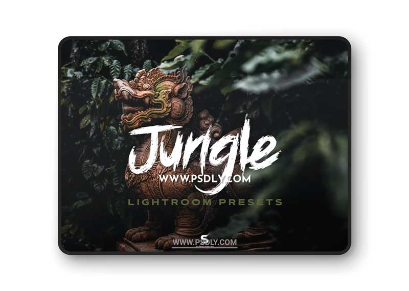 Jungle Lightroom Presets - Cinematic Green Forest 1 Jungle Lightroom Presets - Cinematic Green Forest