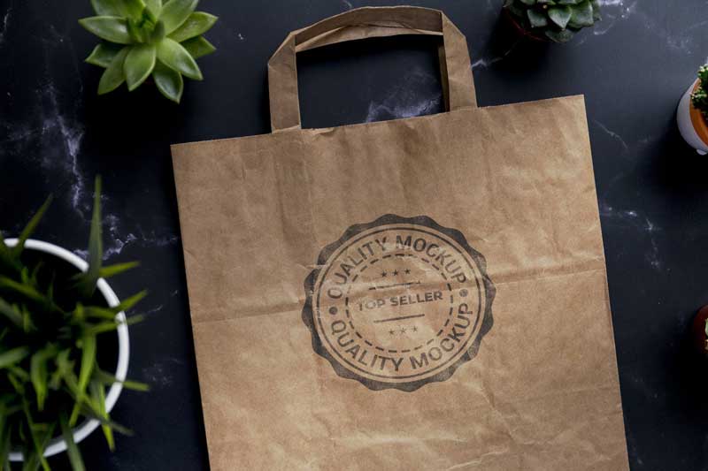 Kraft paper bag with logo mockup and plants EKYHB9S 1 Kraft paper bag with logo mockup and plants EKYHB9S