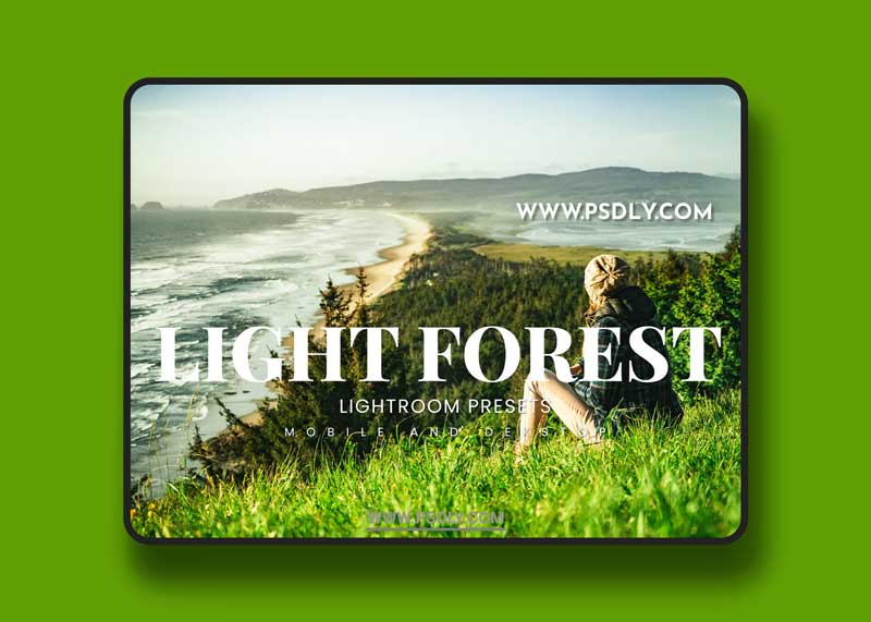 Light Forest Lightroom Presets Dekstop and Mobile 1 Light Forest Lightroom Presets Dekstop and Mobile