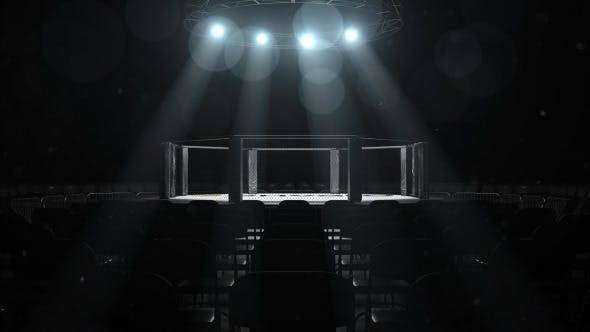 Videohive MMA Logo Sting 10231624 1 Videohive MMA Logo Sting 10231624