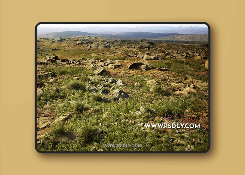 MW Meadow Wetlands Landscape 1 MW Meadow Wetlands Landscape