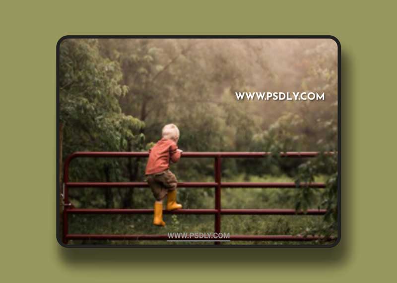 Meridian - LLFx - Meg Loeks - Creative Fog Presets 1 Meridian - LLFx - Meg Loeks - Creative Fog Presets