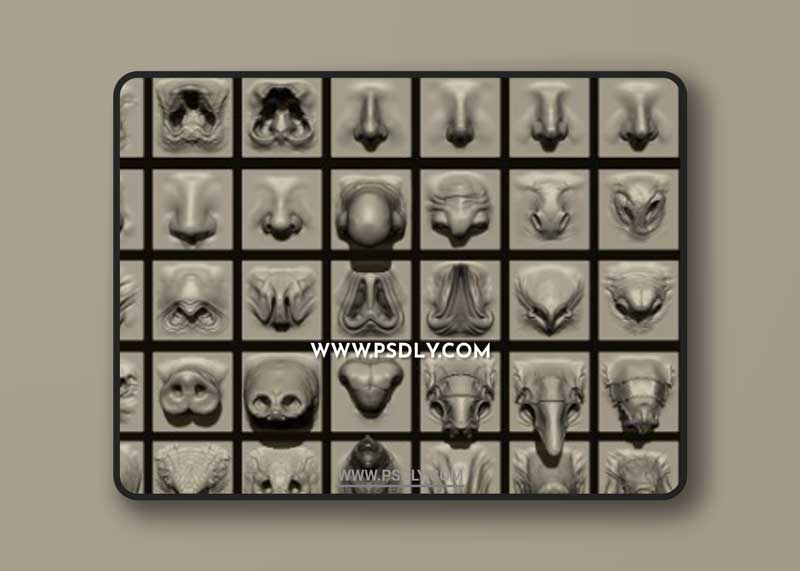 NOSES - 40 ZBrush VDM Nasal Areas 1 NOSES - 40 ZBrush VDM Nasal Areas
