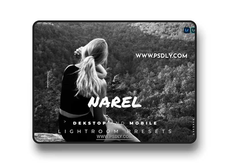 Narel Desktop and Mobile Lightroom Preset ZPZN2ZF 1 Narel Desktop and Mobile Lightroom Preset ZPZN2ZF