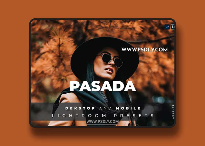 Pasada Desktop and Mobile Lightroom Preset 1 Pasada Desktop and Mobile Lightroom Preset