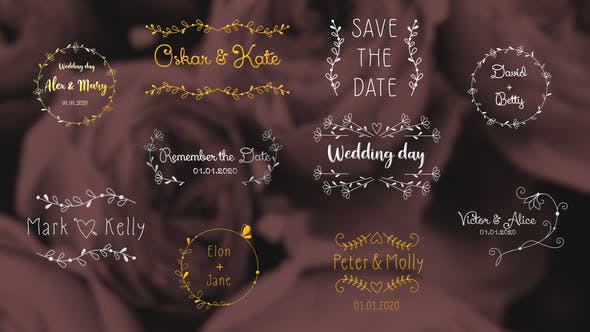 Videohive Wedding Day Titles | After Effects 33468015 1 Videohive Wedding Day Titles | After Effects 33468015