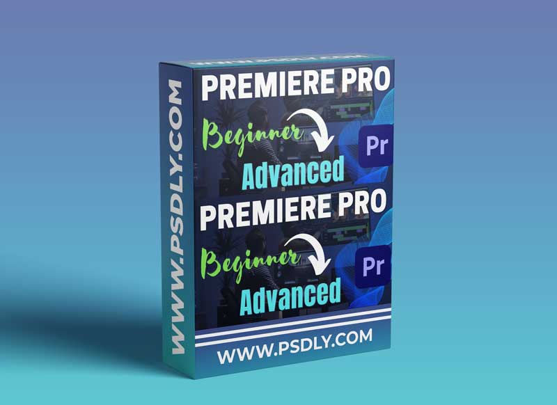 Premiere Pro 2021: Beginner to Advanced in 2 Days Masterclass! 1 Premiere Pro 2021: Beginner to Advanced in 2 Days Masterclass!