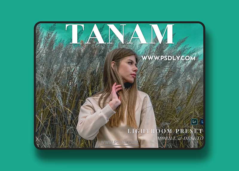 Tanam Mobile and Desktop Lightroom Presets 1 Tanam Mobile and Desktop Lightroom Presets