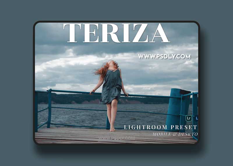 Teriza Mobile and Desktop Lightroom Presets 1 Teriza Mobile and Desktop Lightroom Presets