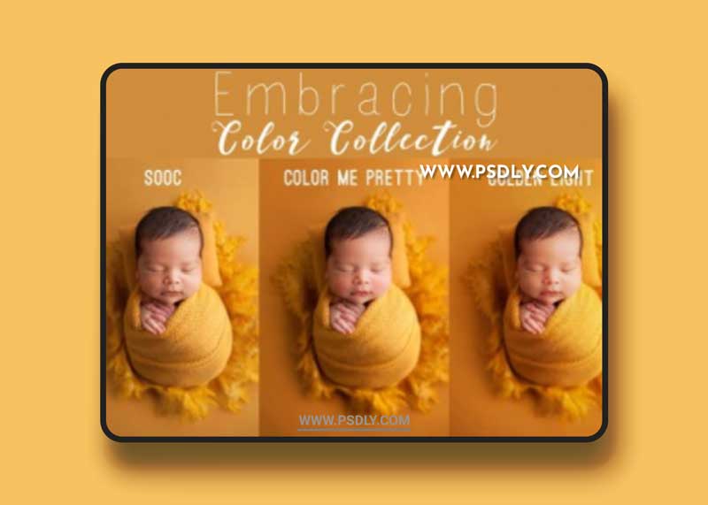 The Embracing Color Collection 1 The Embracing Color Collection