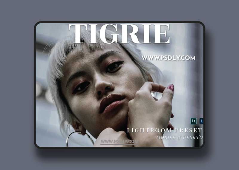 Tigrie Mobile and Desktop Lightroom Presets 1 Tigrie Mobile and Desktop Lightroom Presets