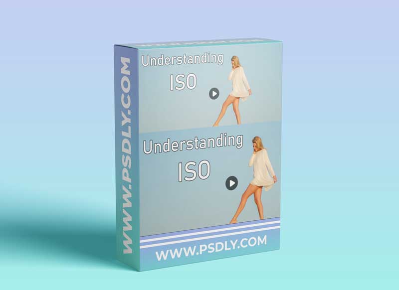 Understand ISO: It is not really what you think it is 1 Understand ISO: It is not really what you think it is