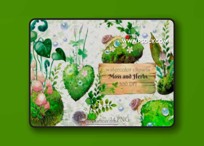 Watercolor Cliparts of Forest Moss, Herb 14972107 1 Watercolor Cliparts of Forest Moss, Herb 14972107