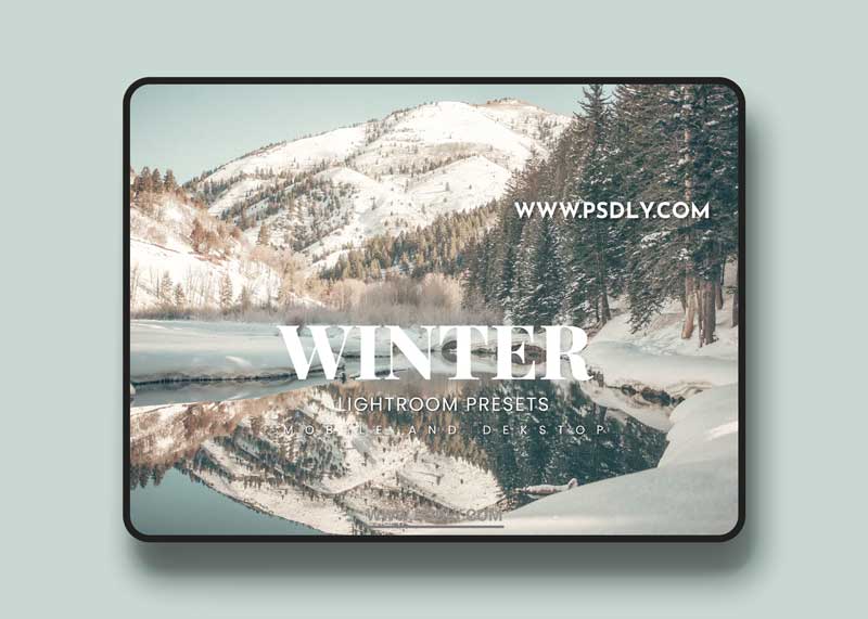 Winter Lightroom Presets Dekstop and Mobile 1 Winter Lightroom Presets Dekstop and Mobile