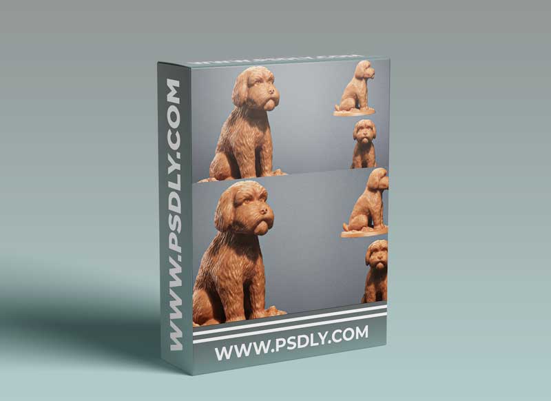 Zbrush dog sculpting for beginners to advanced was 1 Zbrush dog sculpting for beginners to advanced was