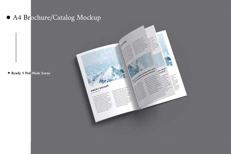 A4 Brochure Mockup V.4 HB258BG 1 A4 Brochure Mockup V.4 HB258BG