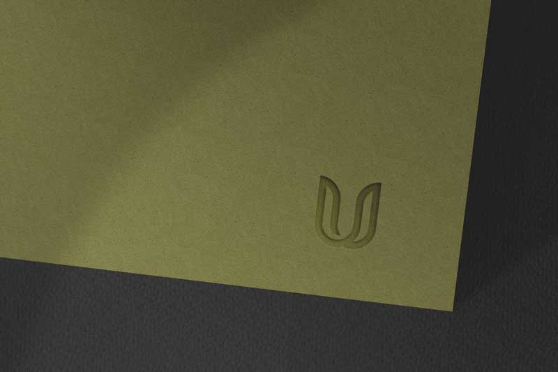 Logo Mockup SWW5NHL 1 Logo Mockup SWW5NHL