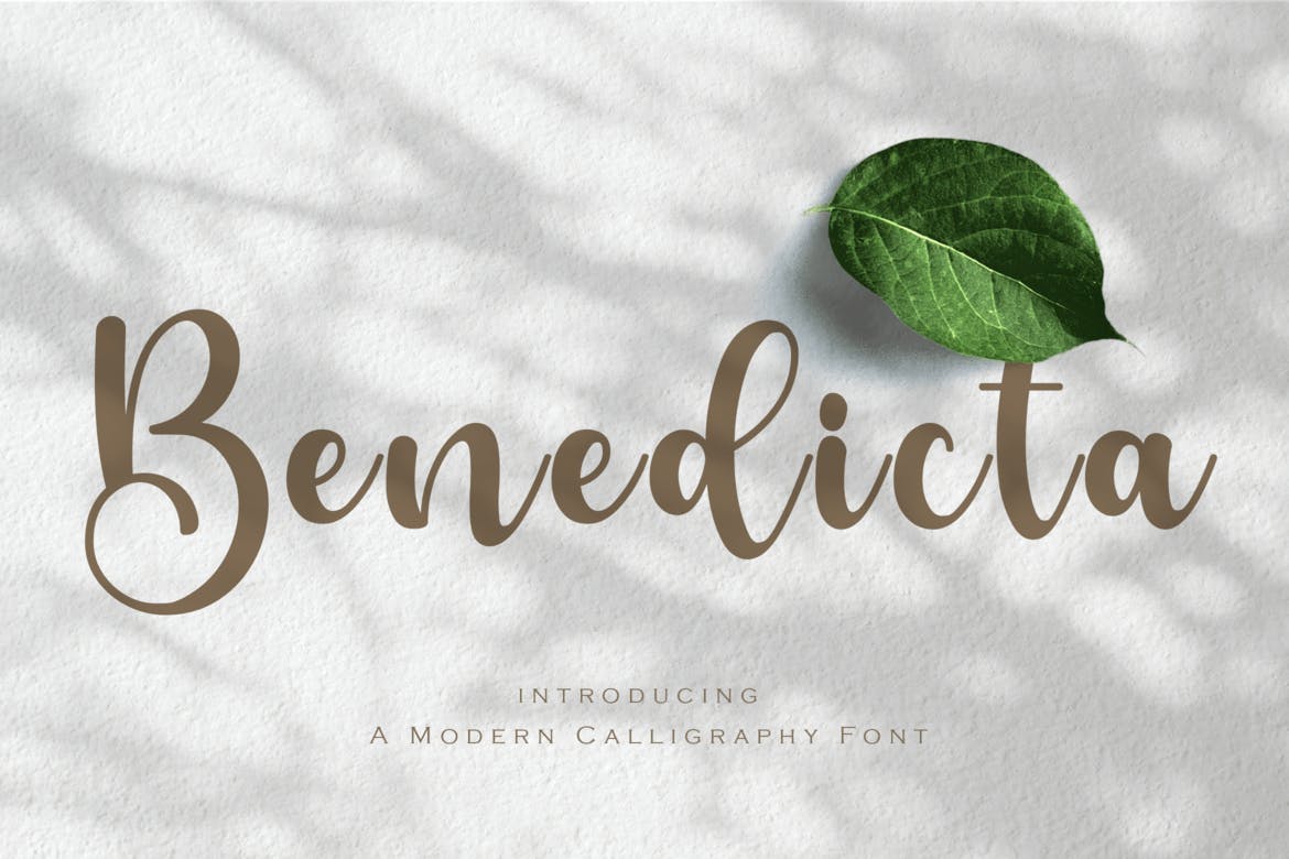 Benedicta- A Modern Calligraphy Font 1 Benedicta- A Modern Calligraphy Font