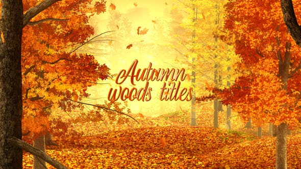 Videohive Autumn Woods Titles 33925235 1 Videohive Autumn Woods Titles 33925235