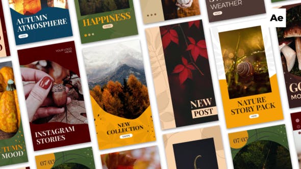 Videohive Autumn Instagram Stories 33899657 1 Videohive Autumn Instagram Stories 33899657