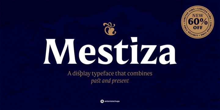 Mestiza Font Family 1 Mestiza Font Family
