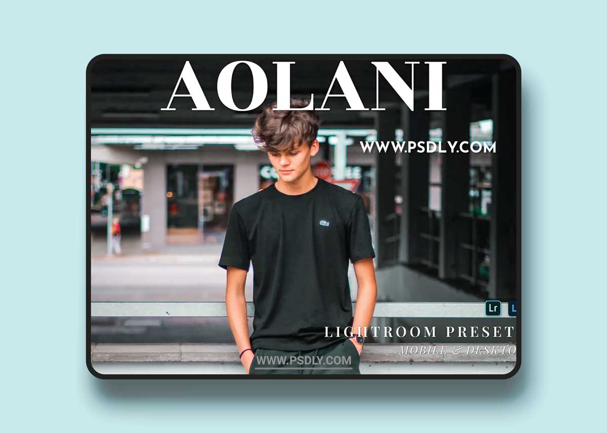 Aolani Mobile and Desktop Lightroom Presets 1 Aolani Mobile and Desktop Lightroom Presets