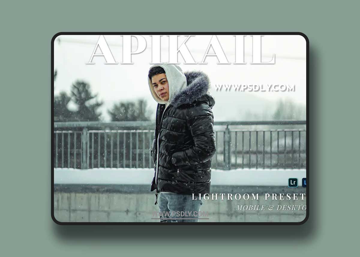 Apikail Mobile and Desktop Lightroom Presets 1 Apikail Mobile and Desktop Lightroom Presets