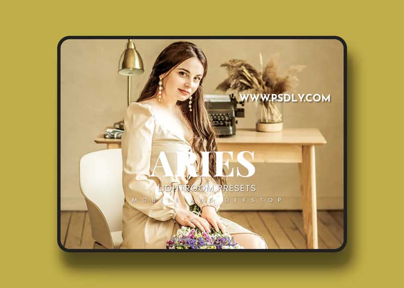 Aries Lightroom Presets Dekstop and Mobile 1 Aries Lightroom Presets Dekstop and Mobile