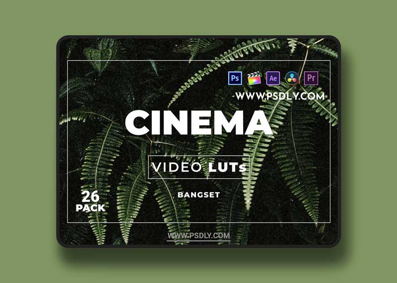 Bangset Cinema Pack 26 Video LUTs 1 Bangset Cinema Pack 26 Video LUTs