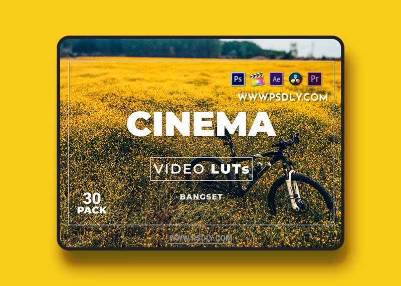 Bangset Cinema Pack 30 Video LUTs 1 Bangset Cinema Pack 30 Video LUTs