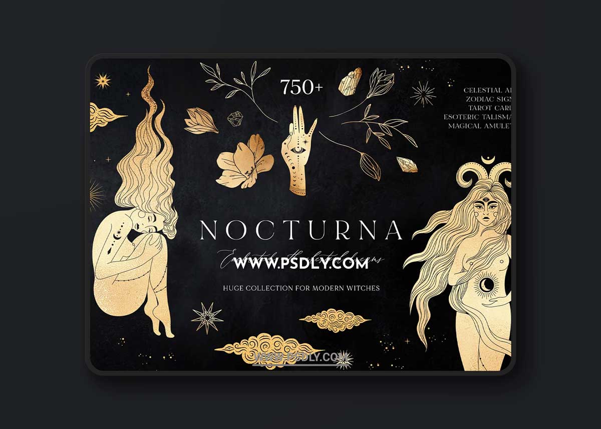 CreativeMarket - NOCTURNA Hidden Secrets Collection 4513552 1 CreativeMarket - NOCTURNA Hidden Secrets Collection 4513552