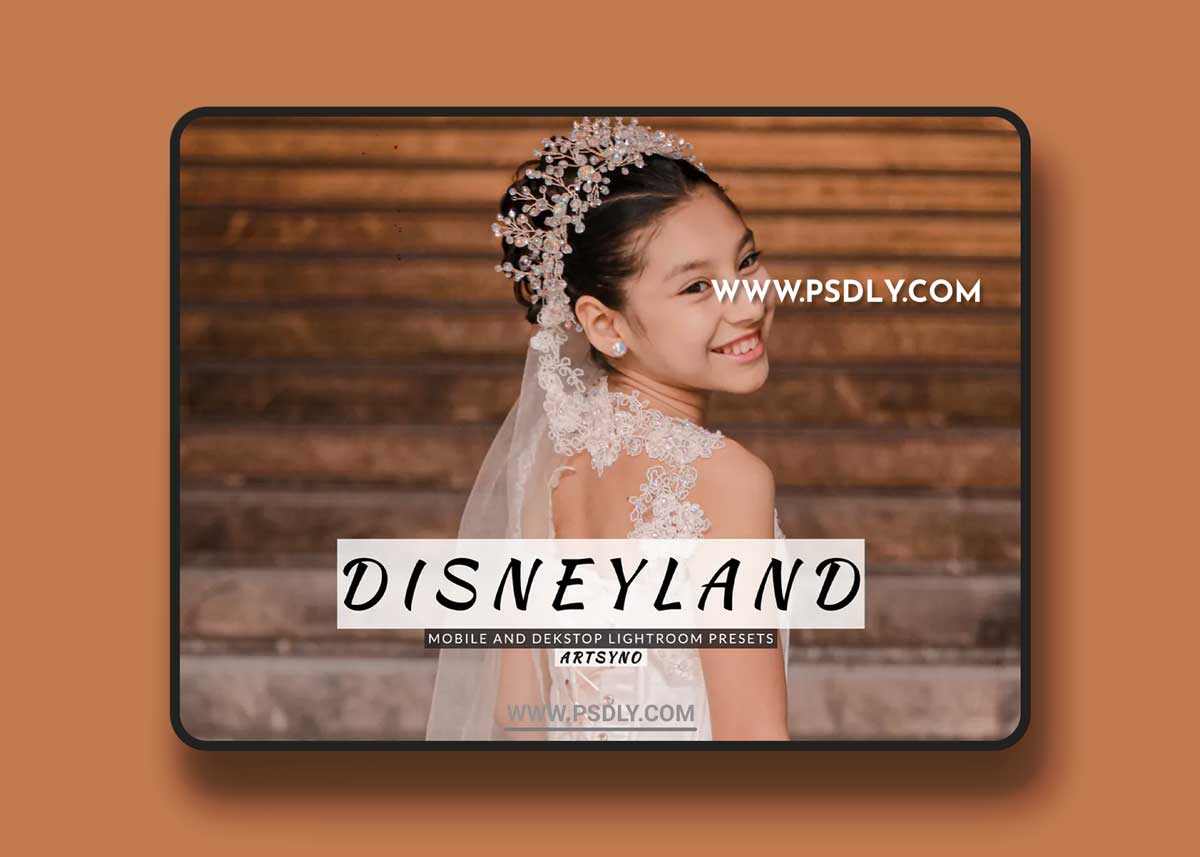 Disneyland Lightroom Presets Dekstop and Mobile 1 Disneyland Lightroom Presets Dekstop and Mobile