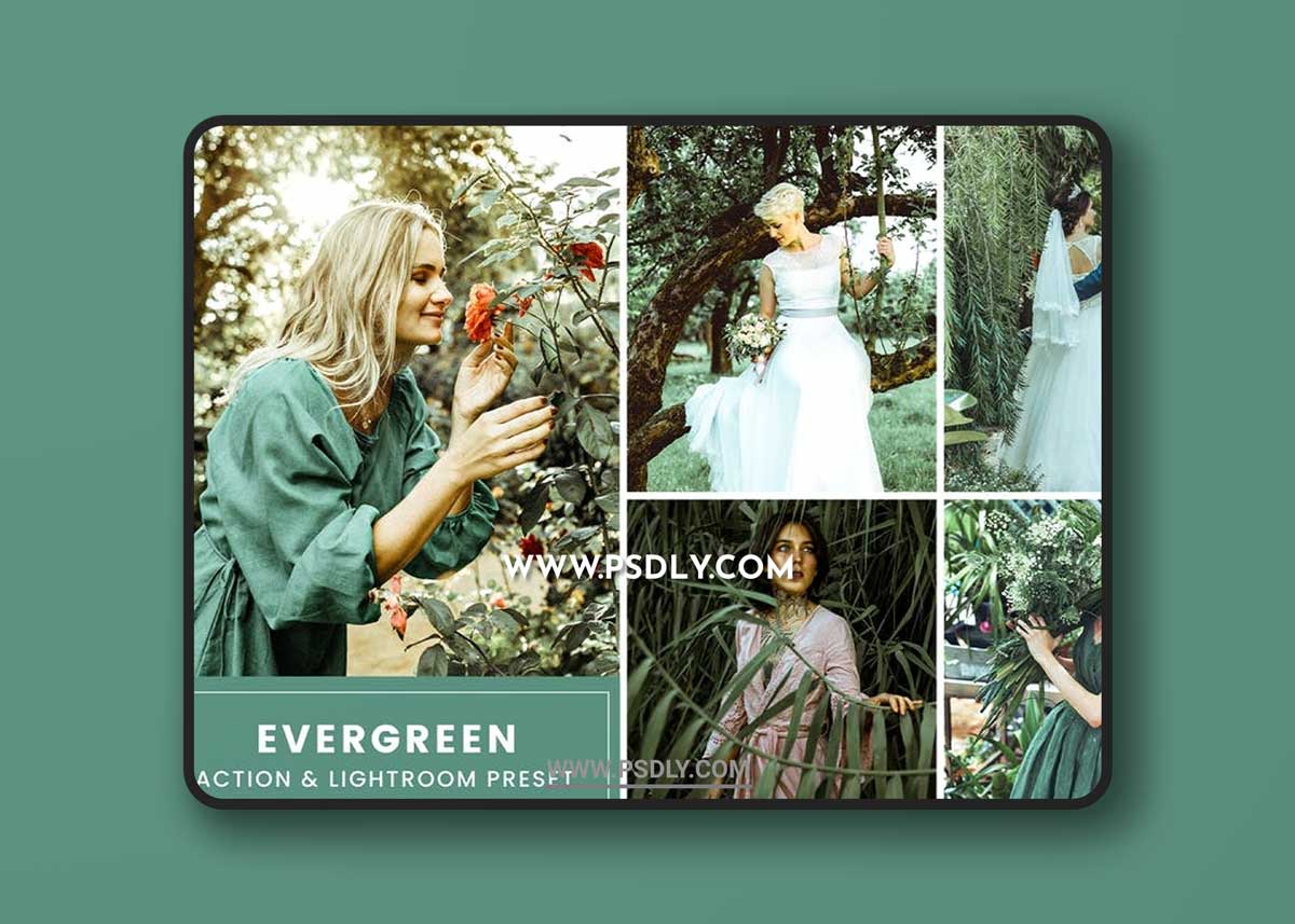 Evergreen Action & Lightrom Presets 1 Evergreen Action & Lightrom Presets