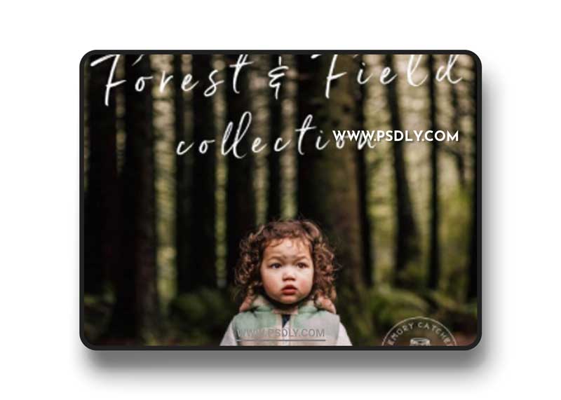 Forest & Field Preset Collection - Desktop & Mobile 1 Forest & Field Preset Collection - Desktop & Mobile