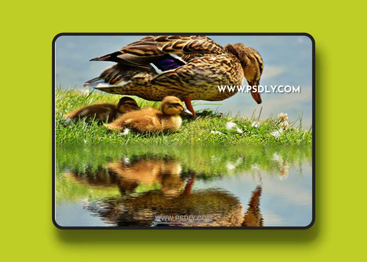 GraphicRiver - Water Reflection Photoshop Action 21245287 1 GraphicRiver - Water Reflection Photoshop Action 21245287