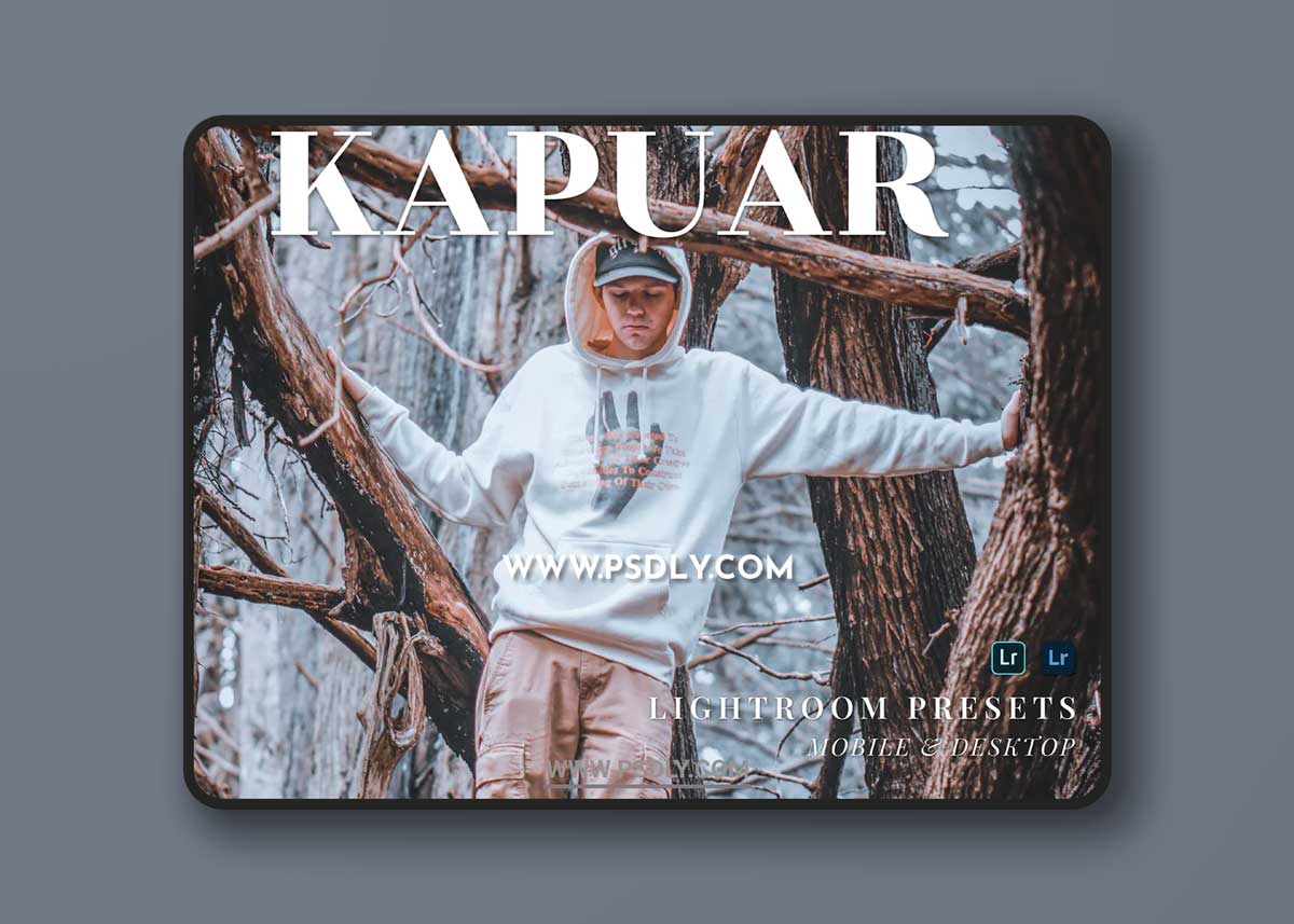 Kapuar Mobile and Desktop Lightroom Presets 1 Kapuar Mobile and Desktop Lightroom Presets