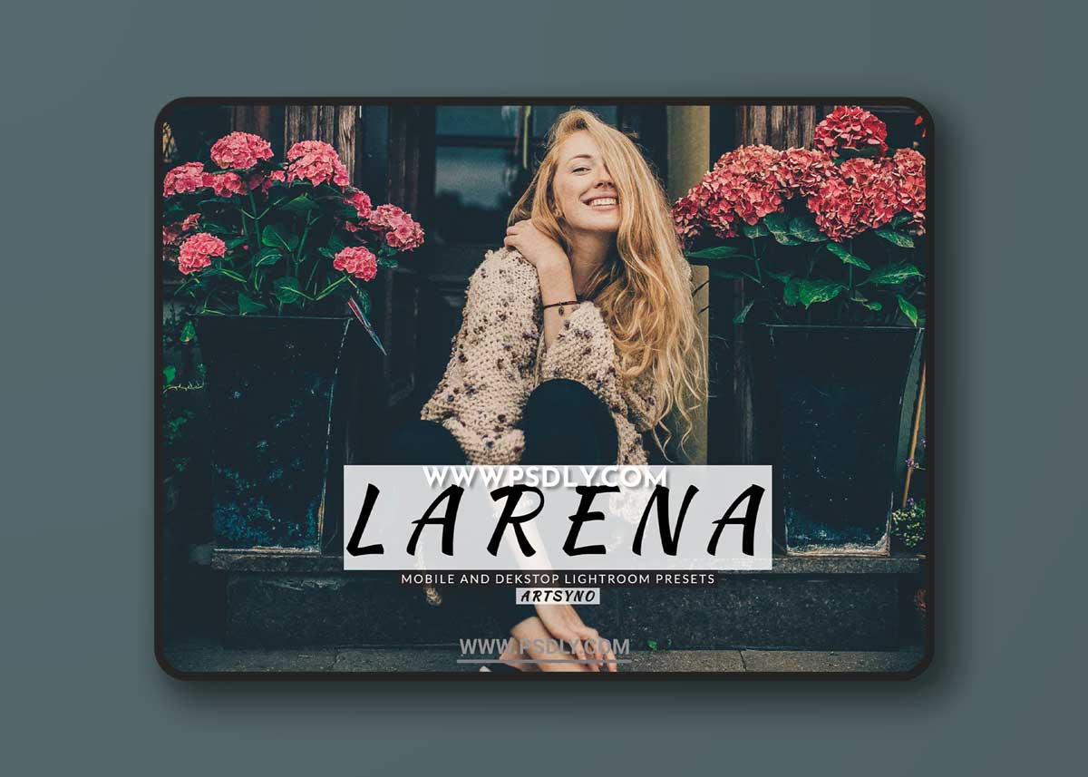 Larena Lightroom Presets Dekstop and Mobile 1 Larena Lightroom Presets Dekstop and Mobile