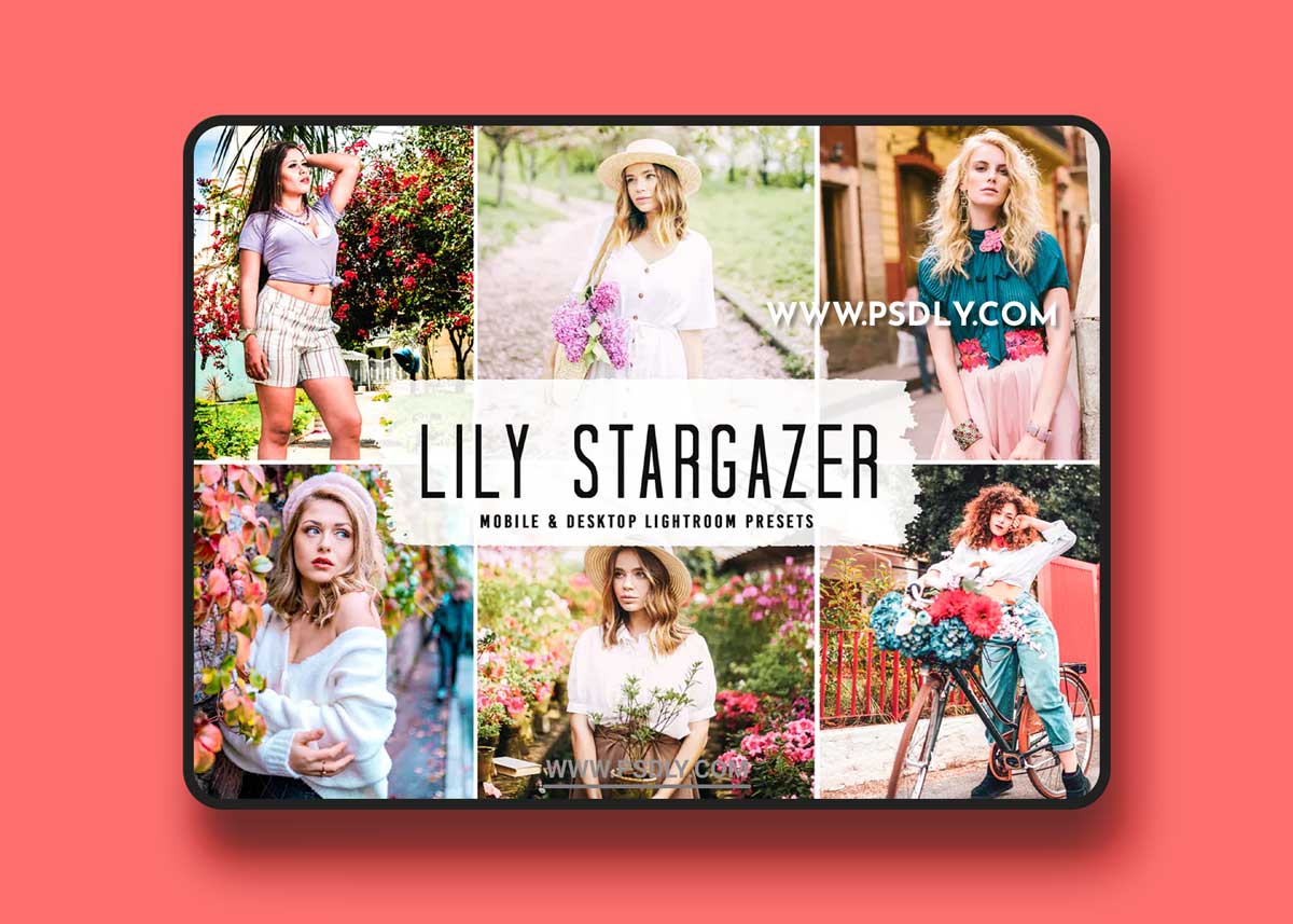 Lily Stargazer Mobile & Desktop Lightroom Presets 1 Lily Stargazer Mobile & Desktop Lightroom Presets