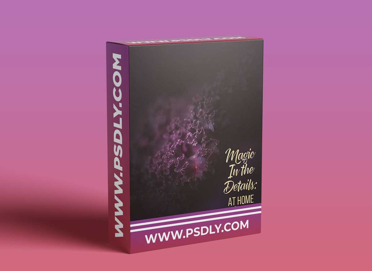 Meg Bitton Live — Magic in the Details 1 Meg Bitton Live — Magic in the Details
