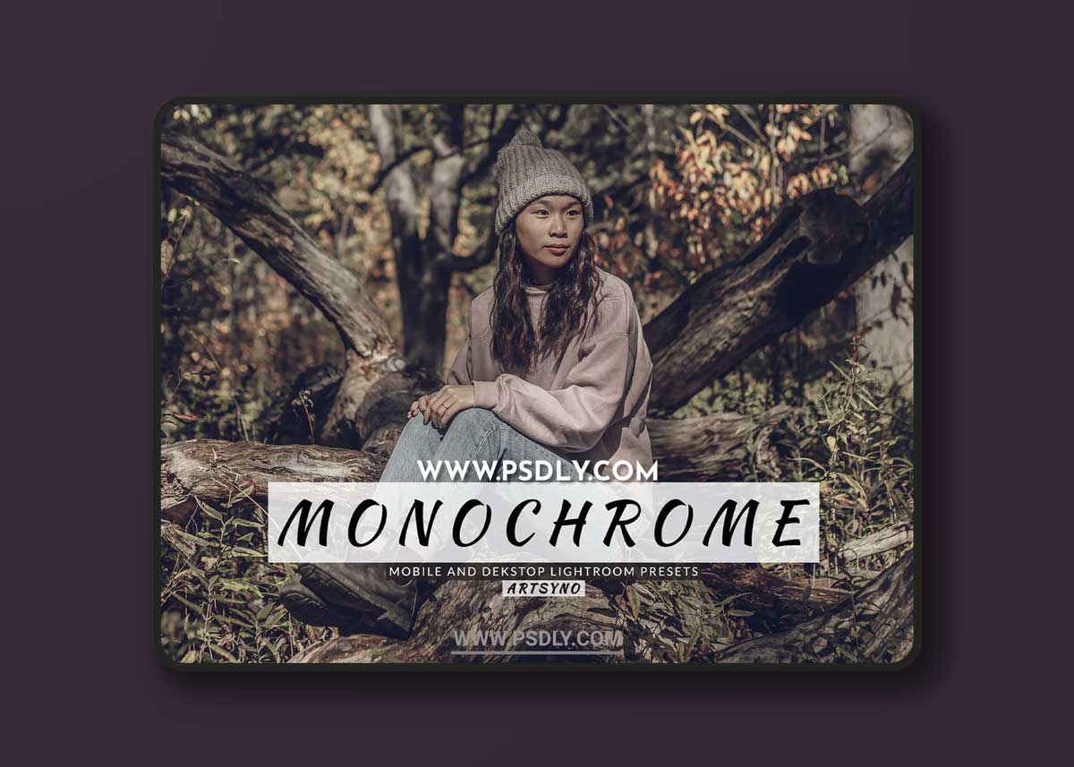 Monochrome Lightroom Presets Dekstop and Mobile 1 Monochrome Lightroom Presets Dekstop and Mobile