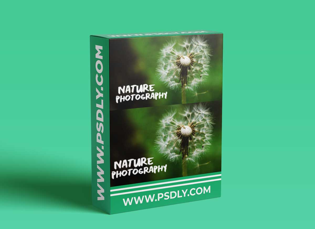 Nature Photography: Recharge and Enjoy the Outdoors 1 Nature Photography: Recharge and Enjoy the Outdoors