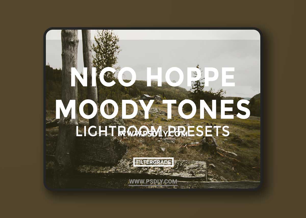 Nico Hoppe Moody Tones Lightroom Presets 1 Nico Hoppe Moody Tones Lightroom Presets