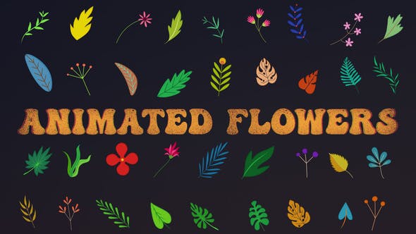 Videohive Animated Flowers || After Effects 33714560 1 Videohive Animated Flowers || After Effects 33714560