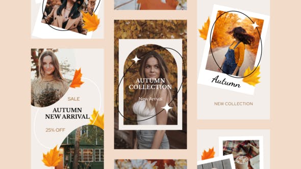 Videohive Autumn Sale Instagram Stories 33733681