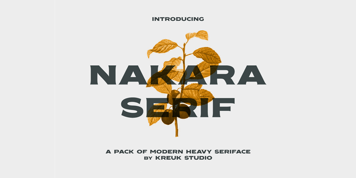 Nakara Font Family 1 Nakara Font Family