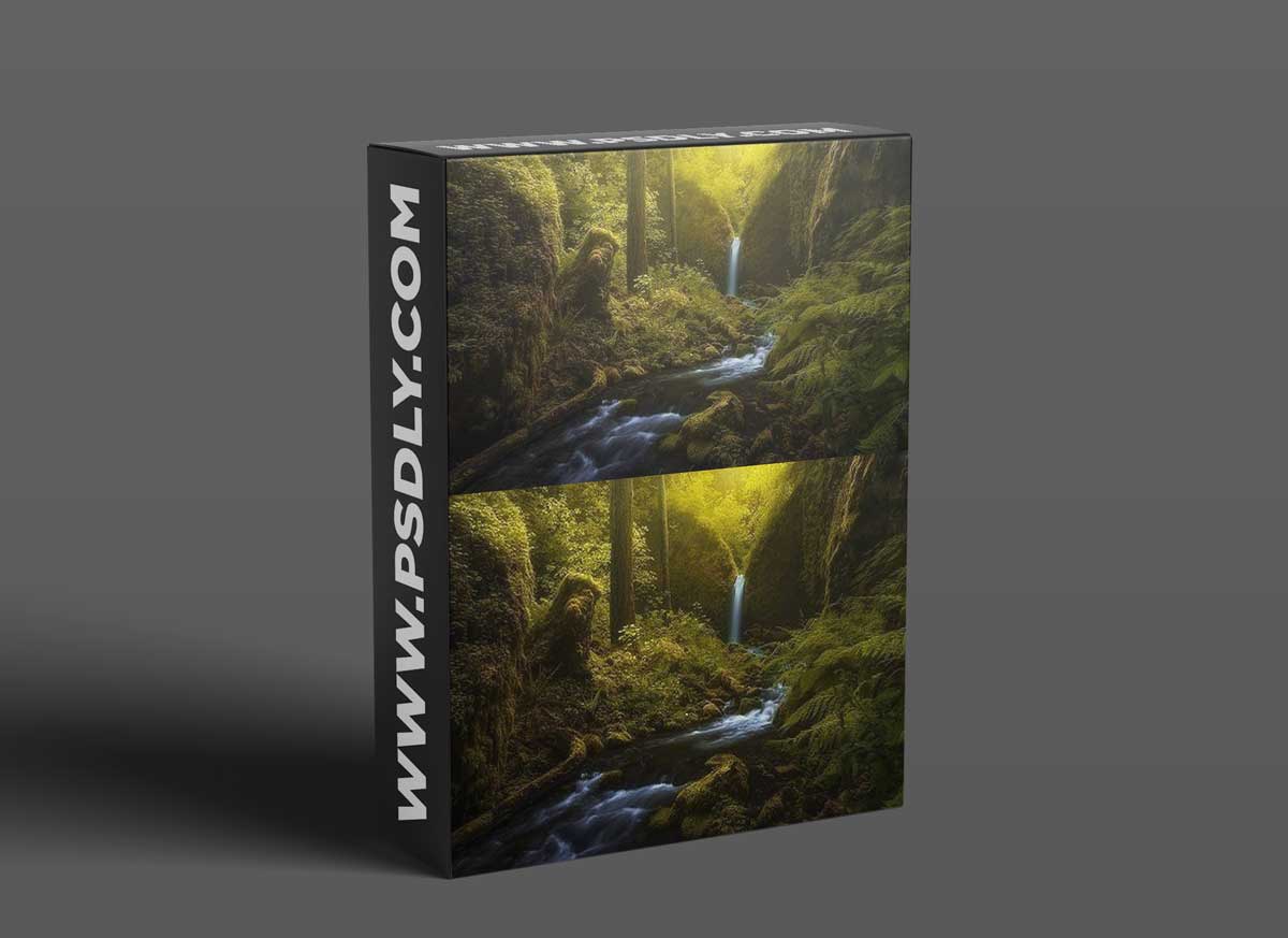 RYAN DYAR - Painting with Light: Artistic Approaches to Dodging and Burning 1 RYAN DYAR - Painting with Light: Artistic Approaches to Dodging and Burning