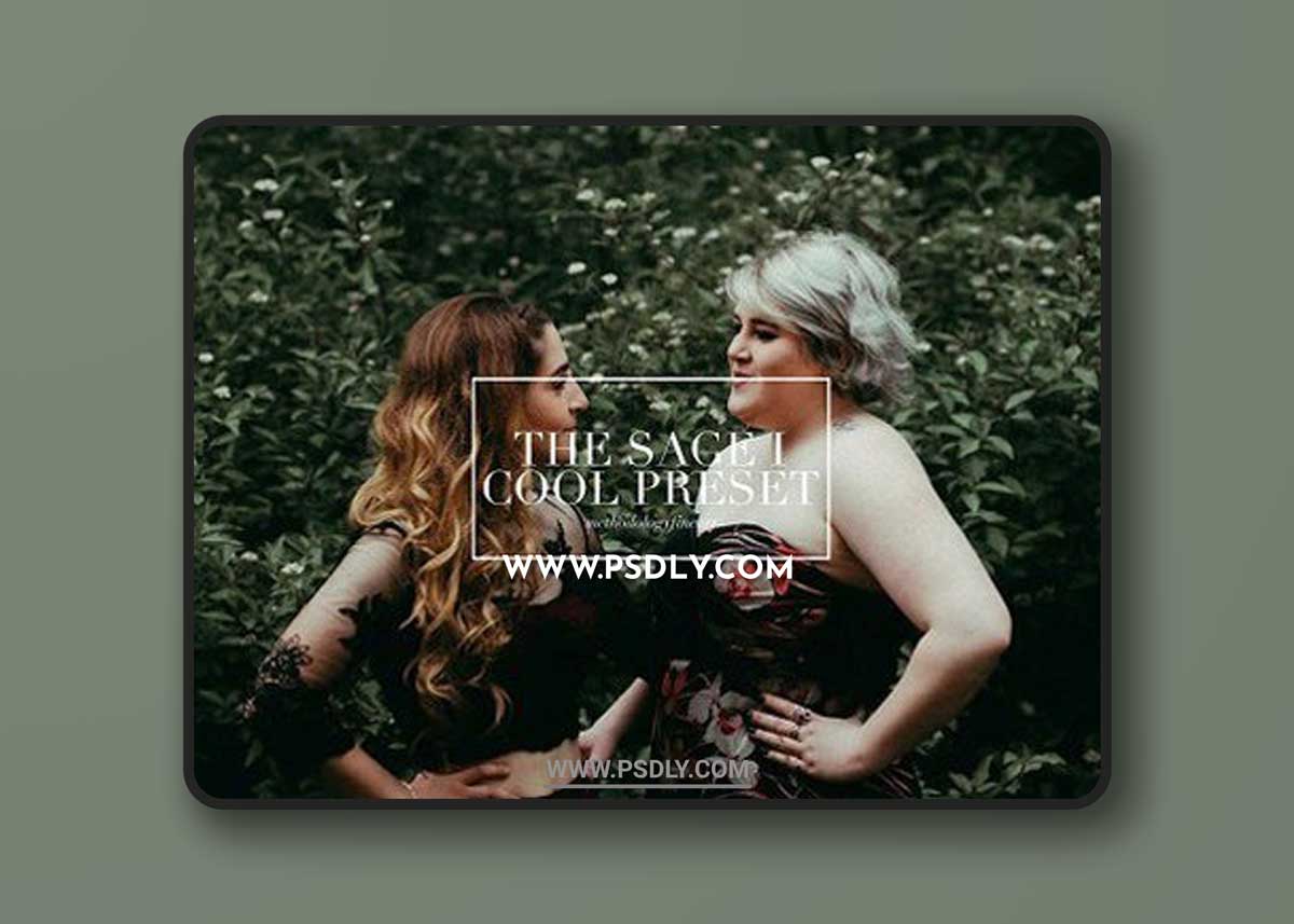 Romantic Lightroom Film Preset 1 Romantic Lightroom Film Preset